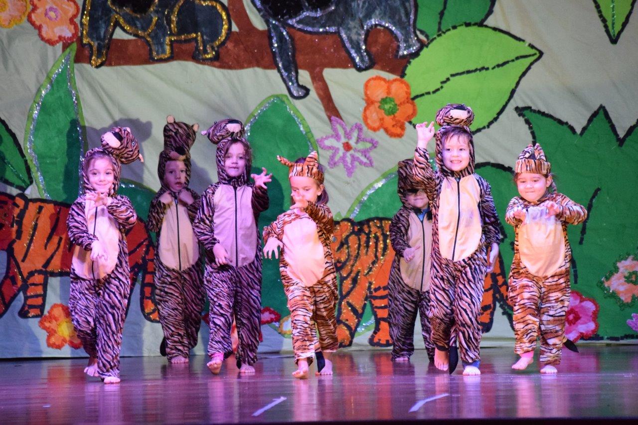 EDN2016-SPECTACLE-PS-1-TIGRE (12)