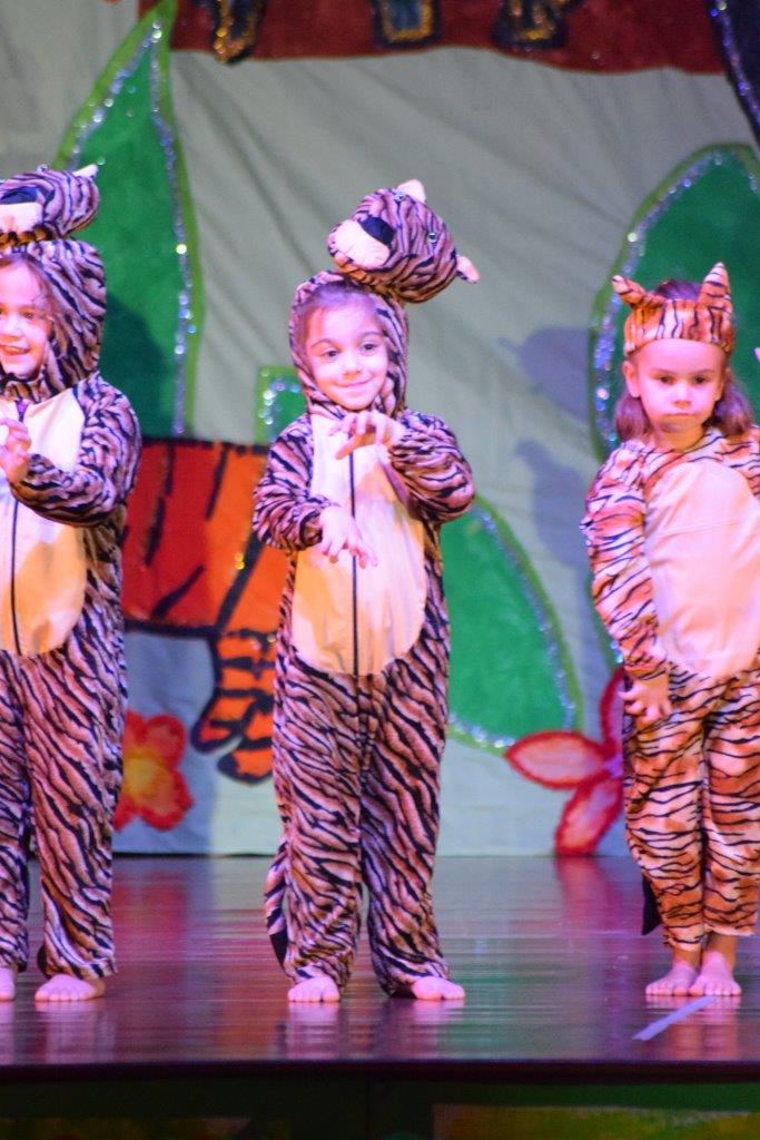 EDN2016-SPECTACLE-PS-1-TIGRE (14)