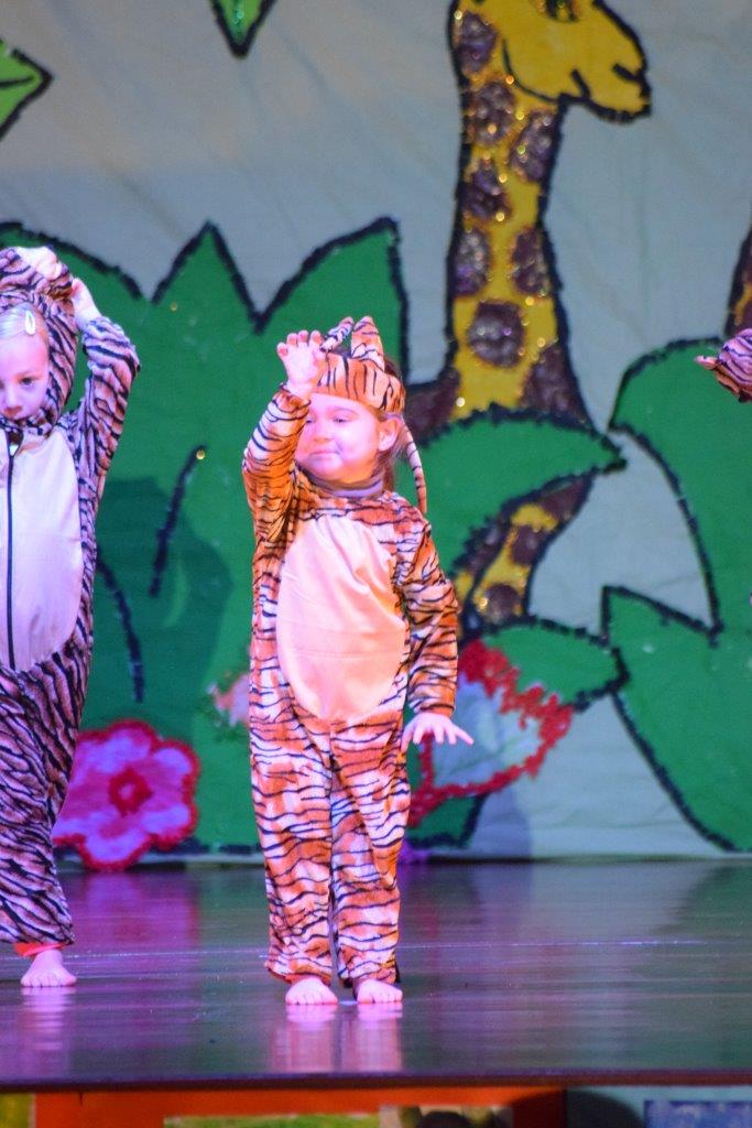 EDN2016-SPECTACLE-PS-1-TIGRE (17)