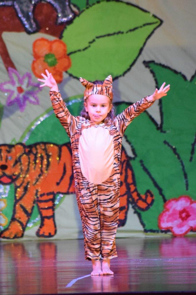 EDN2016-SPECTACLE-PS-1-TIGRE (23)