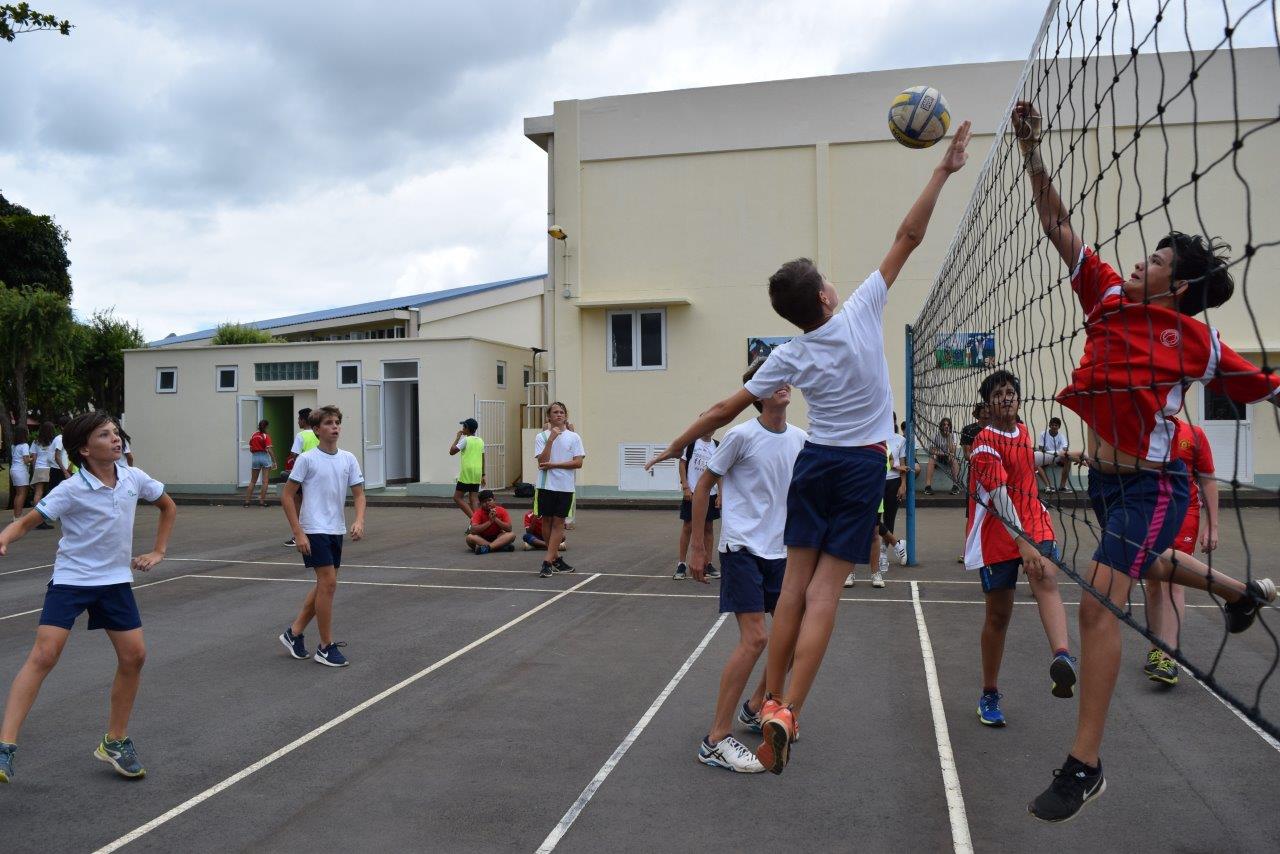 17-12-jour-sport-co-volley (7)