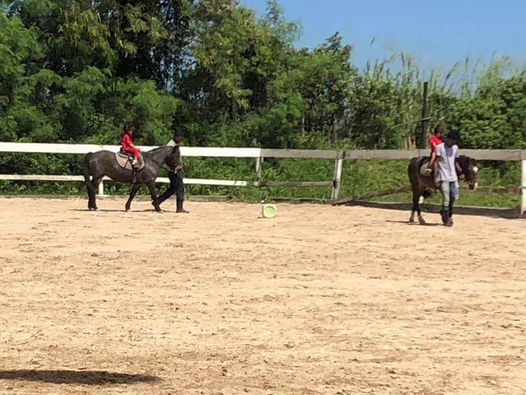 18-04 CYCLE PONEY PS (10)