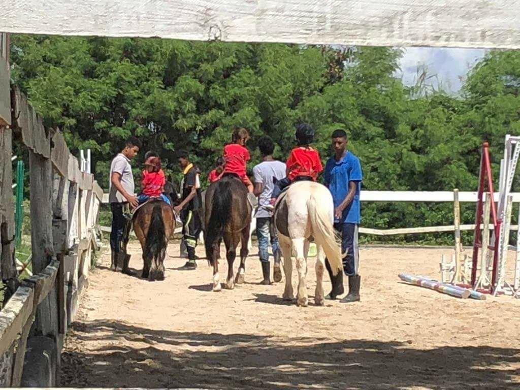 18-04 CYCLE PONEY PS (42)
